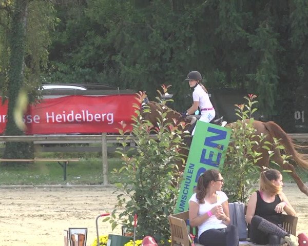 Springturnier Walldorf/Winterheck 2021