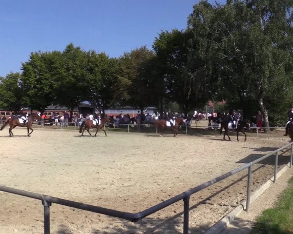Reitturnier Ascheberg 2021