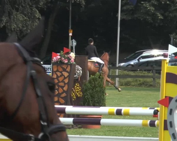Reitturnier Georgsmarienhütte 2014