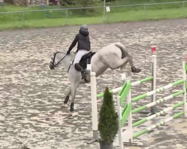 Leutkirch-Diepoldshofen 2015