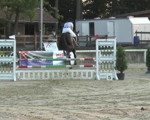 Reitturnier Melle-Ostenfelde 2015