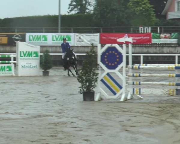 Reitturnier Melle-Ostenfelde 2015