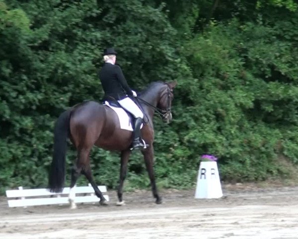 Reitturnier Viersen-Dülken 2015