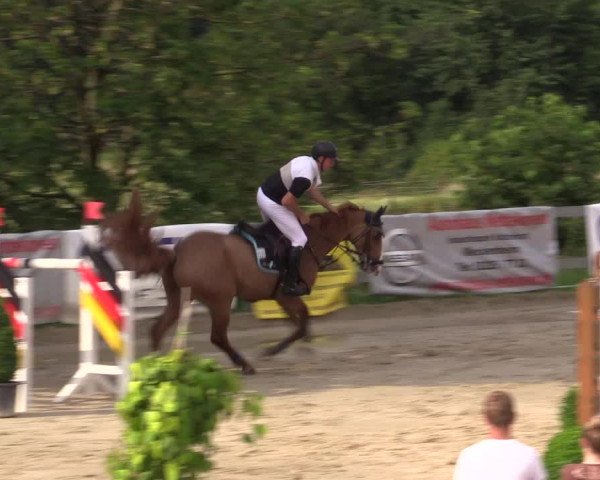 Reitturnier Kalenborn Hegehof 2015