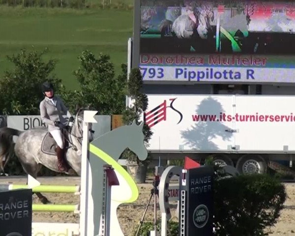 Reitturnier Lindlar-Süttenbach 2015