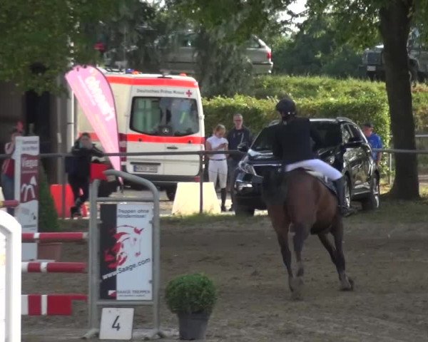 Reitturnier Grefrath - Reitanlage Heitzerend 2015