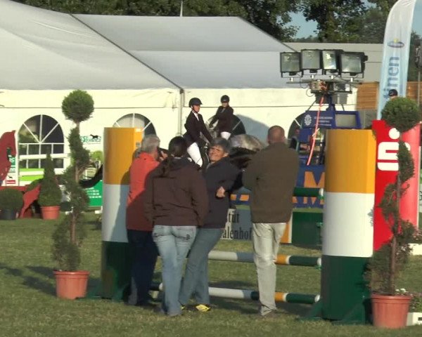 FEI Reitturnier Steinhagen (GER) 2015