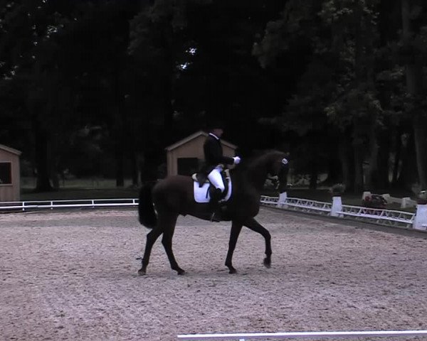 Reitturnier Redefin 2015