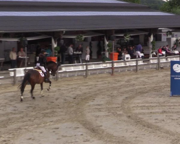 Reitturnier Münster-Roxel 2015