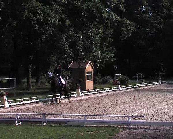 Reitturnier Redefin 2015