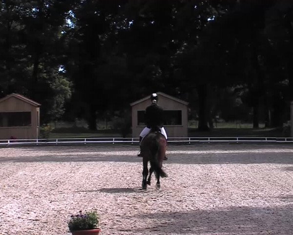 Reitturnier Redefin 2015