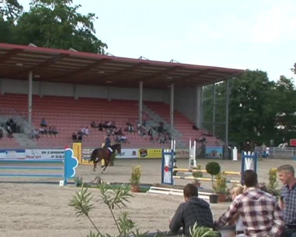 Reitturnier Redefin 2015