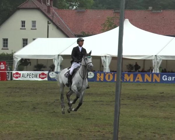 FEI Reitturnier Steinhagen (GER) 2015