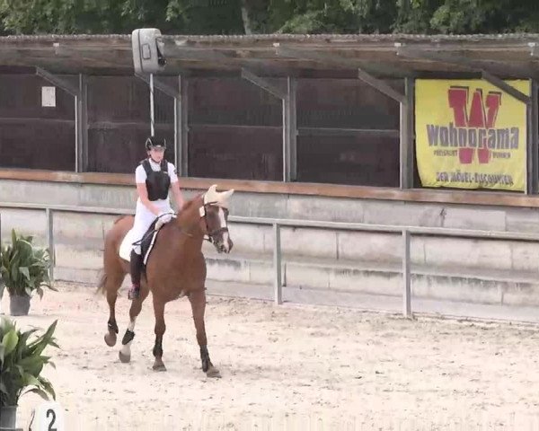 Reitturnier Ingolstadt-Hagau 2015