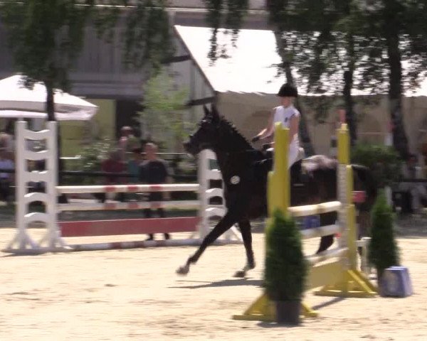 Reitturnier Herbern 2015
