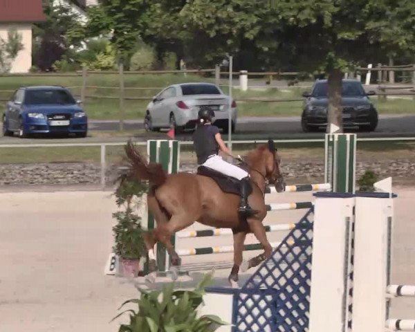Reitturnier Ingolstadt-Hagau 2015