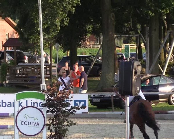 Euregioturnier Wietmarschen 2015