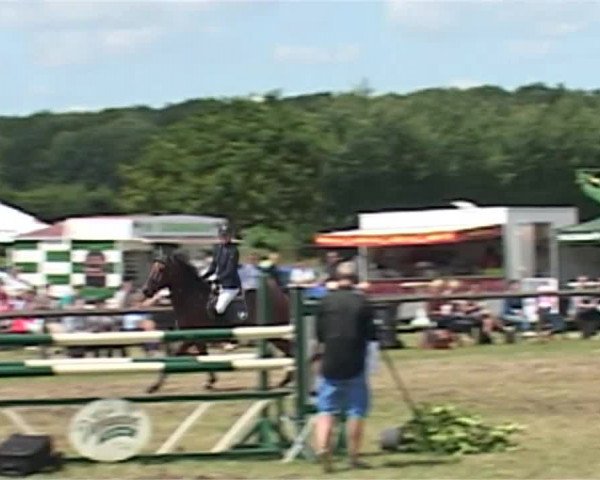 Reitturnier Süderbrarup-Güderott 2015