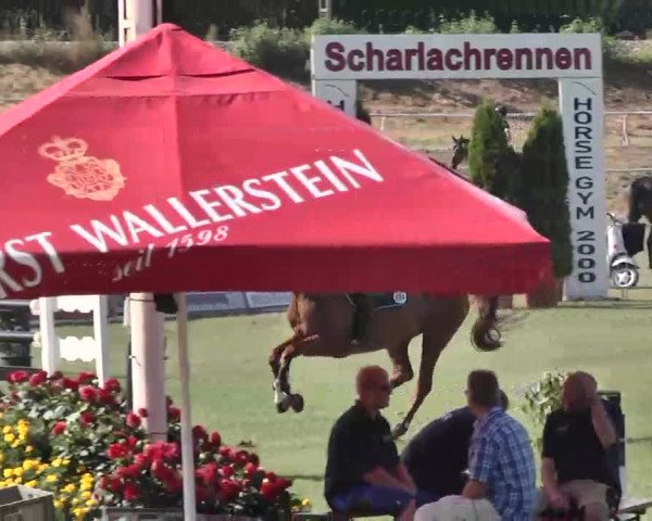 55. Süddeutsche Championate - Scharlachrennen 2015