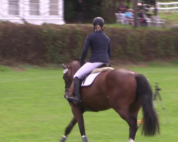 Reitturnier Vlotho-Exter 2015