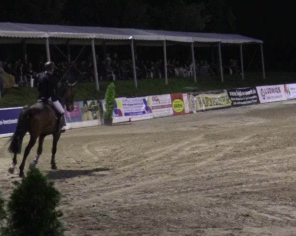 62. Lobbericher Reitsportfestival 2015