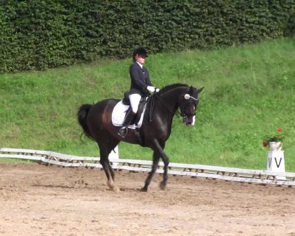 Reitturnier Vlotho-Exter 2015