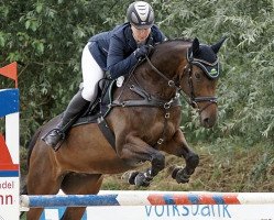 jumper Clara Fall (Westphalian, 2006, from Contini)