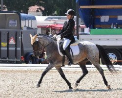 Zuchtstute Lettenhofs Lovely Duchess (Deutsches Reitpony, 2006, von Derano Gold)