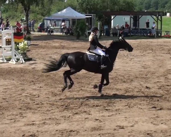 Reitturnier Neuss-Uedesheim 2015