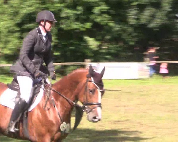 Reitturnier Petershagen-Eldagsen 2015