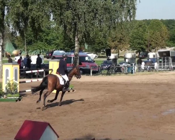 Reitturnier Neuss-Uedesheim 2015