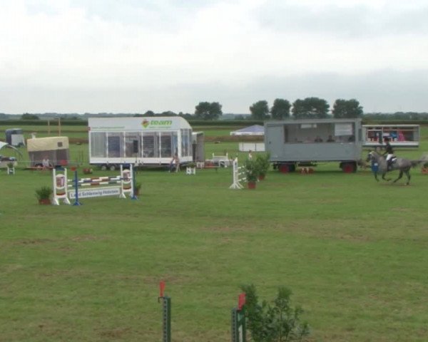 Reitturnier Behrendorf 2015