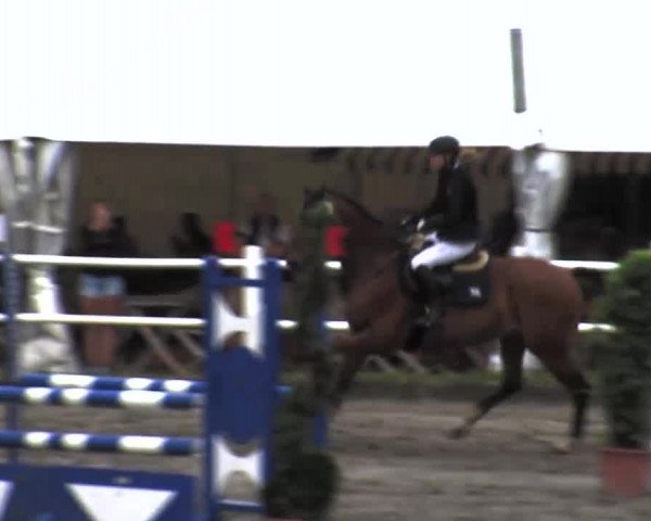 Reitturnier Tangstedt/Pinneberg 2015