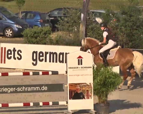 HORSE classics Killingen 2015