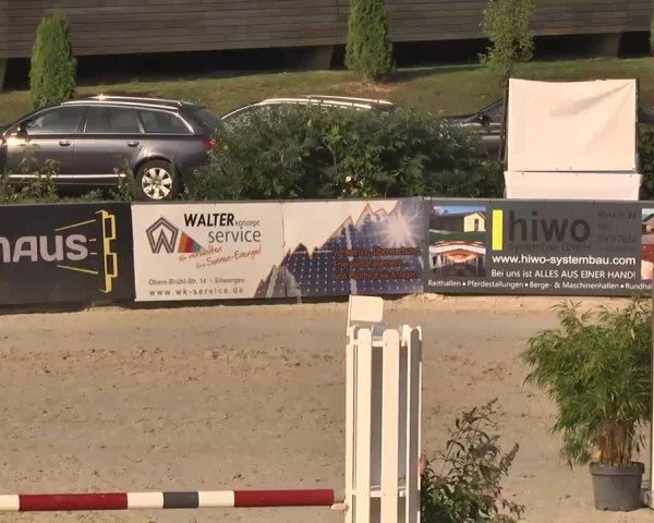 HORSE classics Killingen 2015
