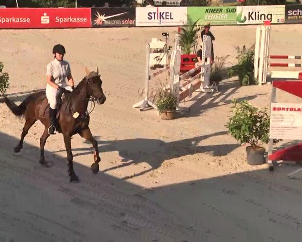 HORSE classics Killingen 2015