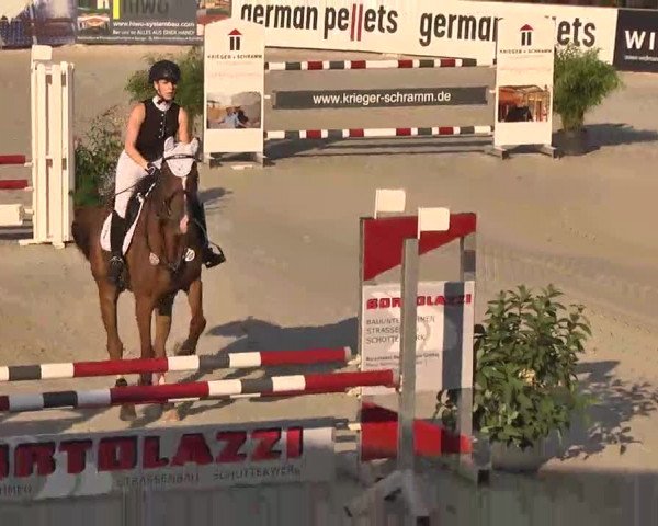 HORSE classics Killingen 2015