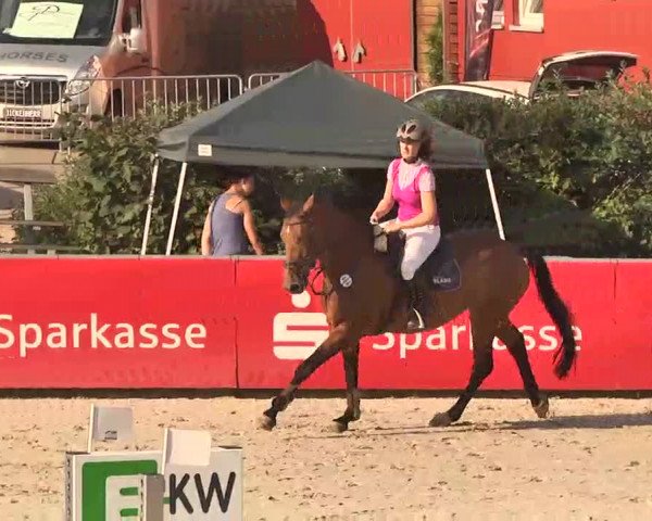 HORSE classics Killingen 2015
