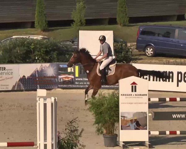 HORSE classics Killingen 2015