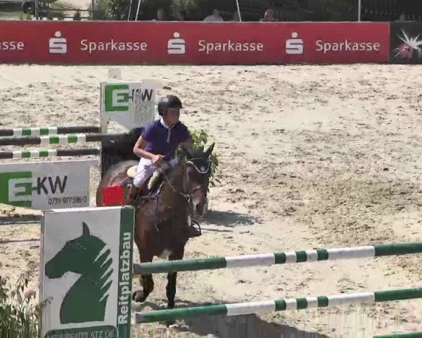 HORSE classics Killingen 2015