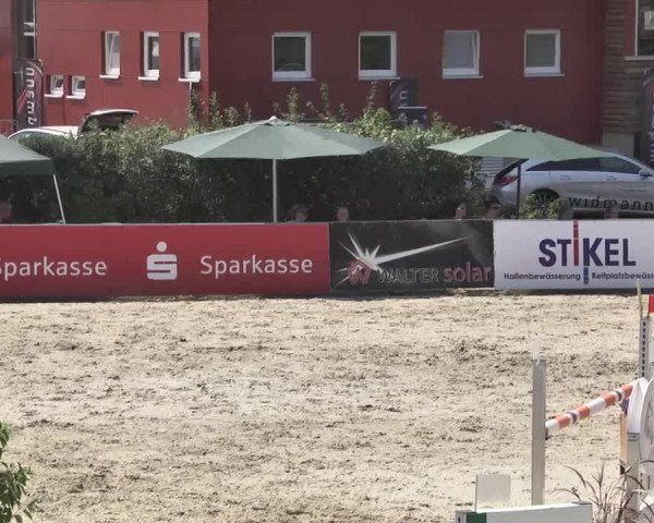 HORSE classics Killingen 2015