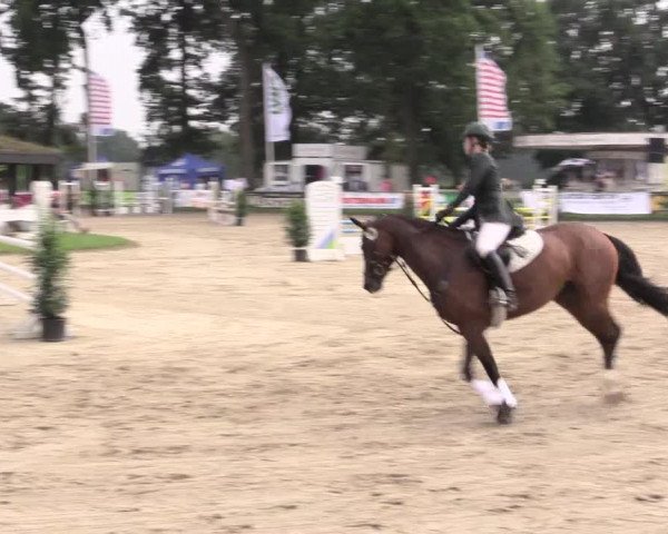 Reitturnier Datteln 2015