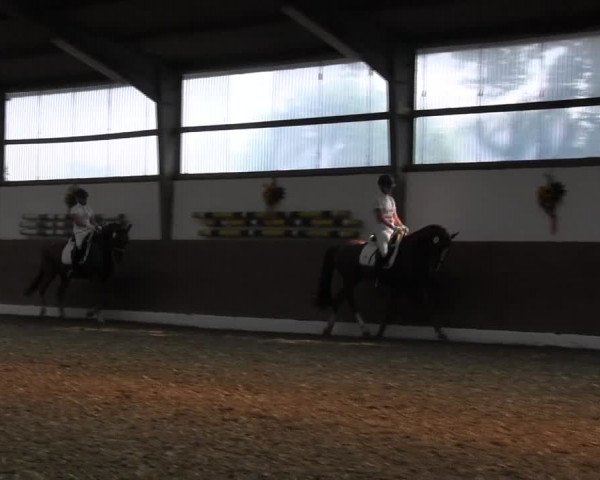 Reitturnier Datteln 2015