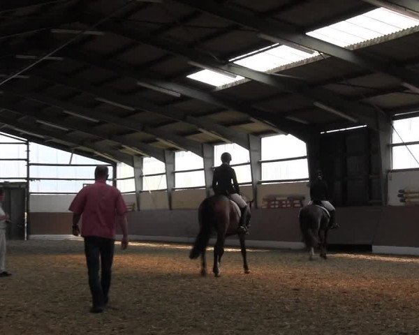 Reitturnier Datteln 2015