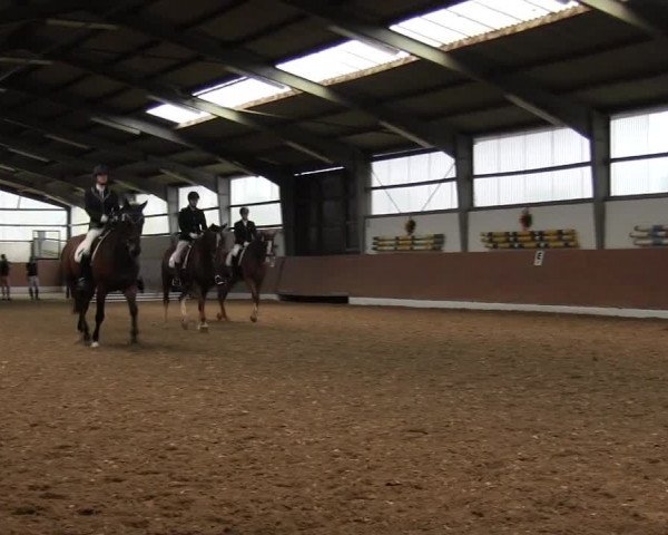 Reitturnier Datteln 2015