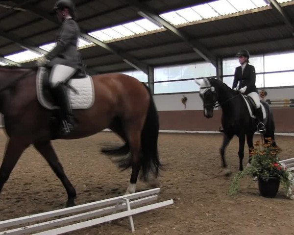 Reitturnier Datteln 2015