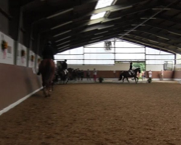 Reitturnier Datteln 2015