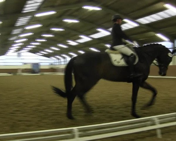 Reitturnier Datteln 2015