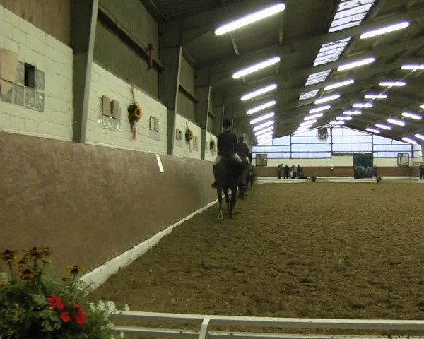 Reitturnier Datteln 2015