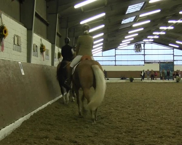 Reitturnier Datteln 2015